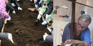 Skuleelevar frå Bjørndal skole til venstre og Maria Sture til høgre. Foto: NIKU og Hedvig Vollsnes